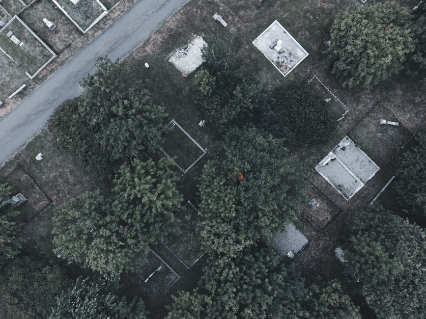 问生态葬价格前，先弄清这几点