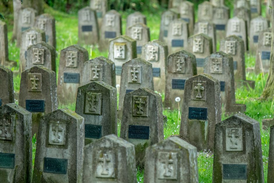 生态葬价格问完就签？先看这张费用清单